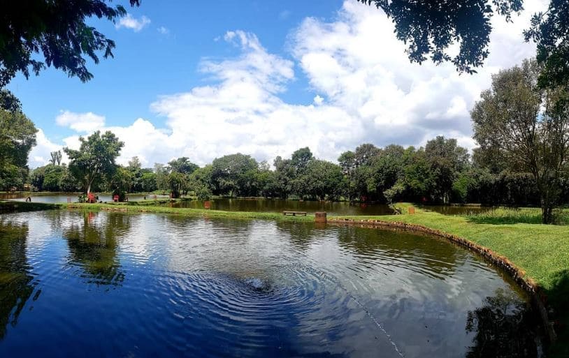 lago pesqueiro bom peixe 